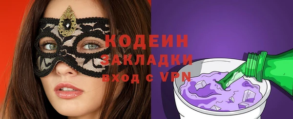 твердый Снежногорск