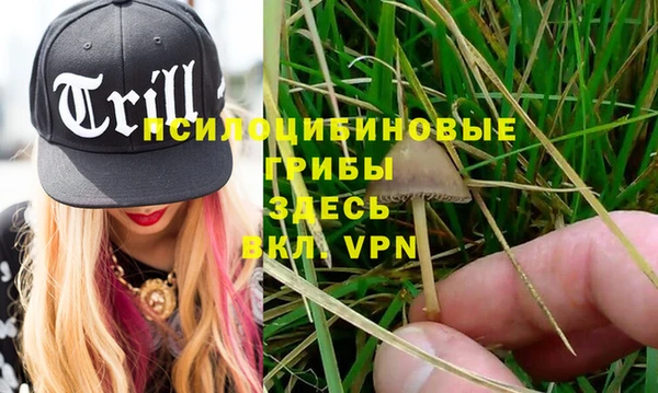 a pvp Бронницы